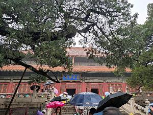 PEKIN-TEMPLE DE CONFUCIUS ACADEMIE IMPERIALE (19)